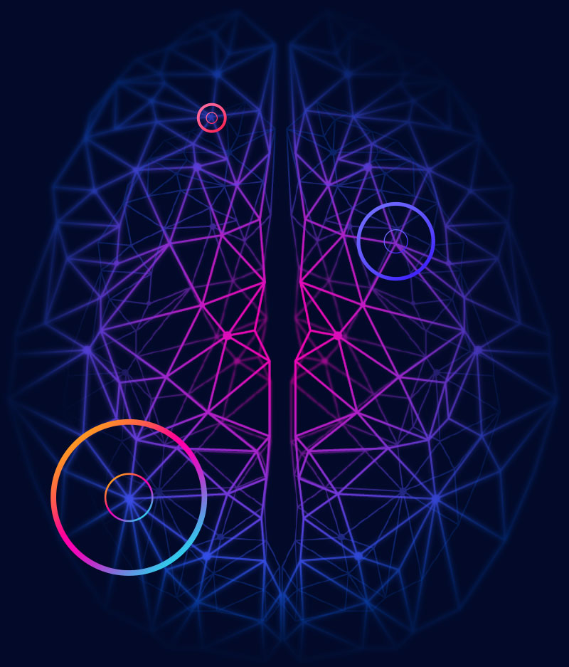 Neural network in shaped like a human brain